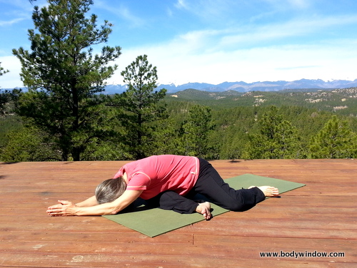 Pelvic Mobility and Flexibility with Yin - Yoga with Kassandra Blog