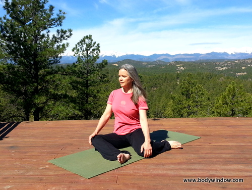 PowerPose 24 – Yoga Daṇḍāsana | suzanne wright yoga